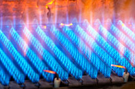 Largoward gas fired boilers